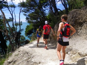 Abel Tasman coastal track